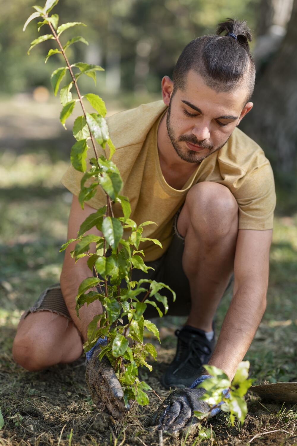 plantando-arbol-nosotros